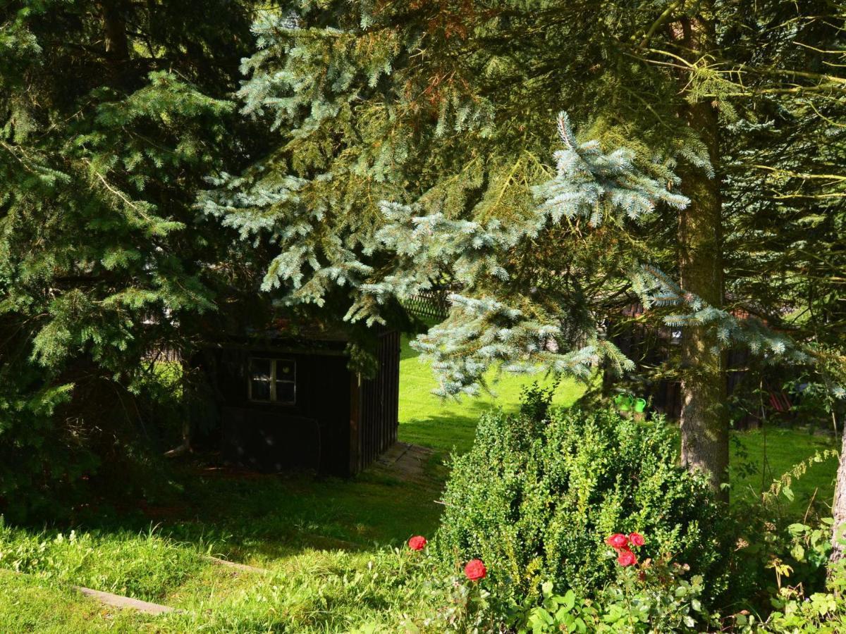 Modern In Rauschenbach Saxony Near Forest